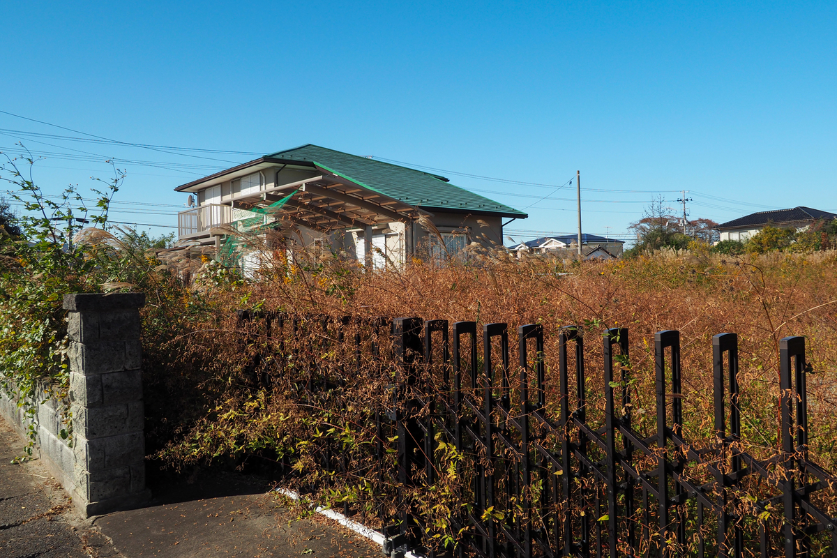 f:id:haikutu:20211120120839j:plain