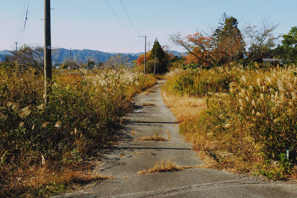 f:id:haikutu:20211120121017j:plain