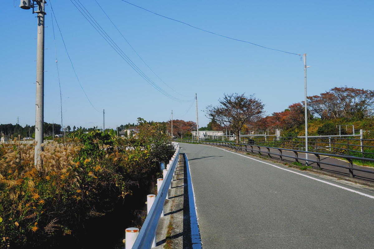 f:id:haikutu:20211120121030j:plain