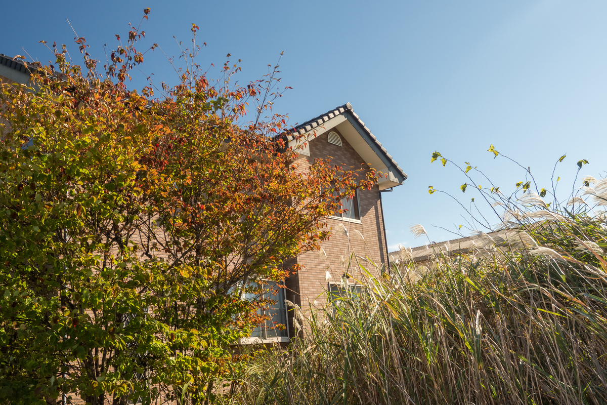 f:id:haikutu:20211120121101j:plain