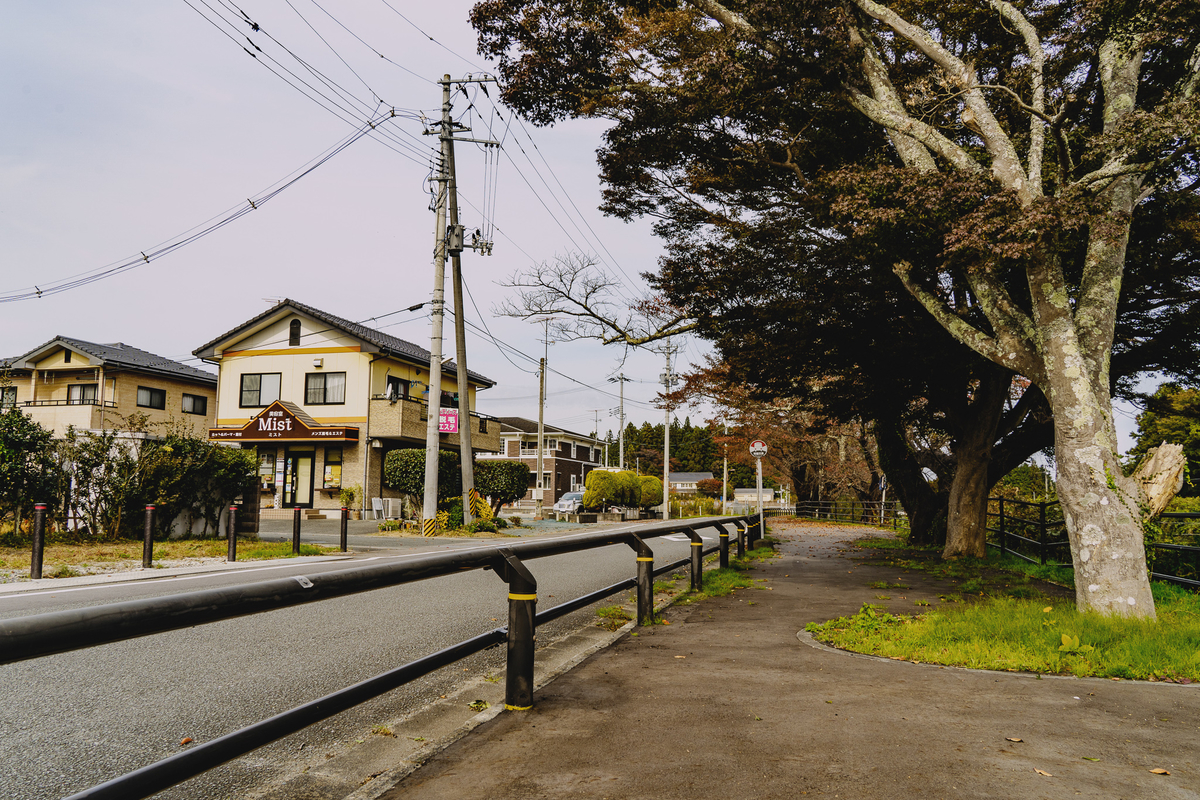 f:id:haikutu:20211120125345j:plain