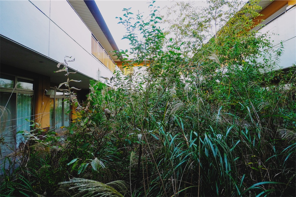 f:id:haikutu:20211124112527j:image