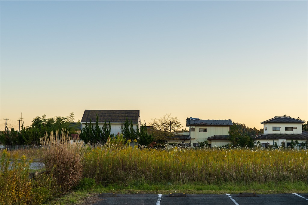 f:id:haikutu:20211124113903j:image