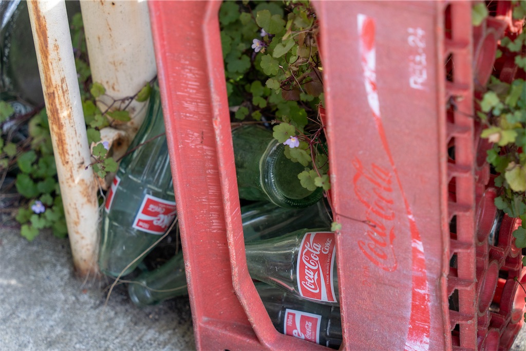 f:id:haikutu:20211207025451j:image