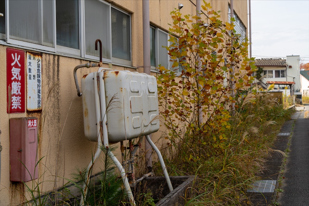 f:id:haikutu:20211207053047j:image