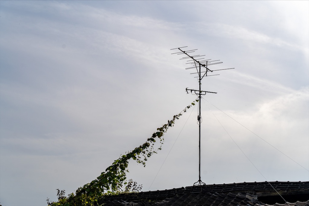 f:id:haikutu:20211207054057j:image