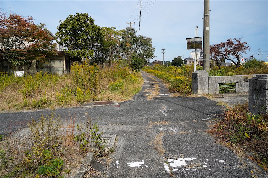 f:id:haikutu:20211207215608j:image