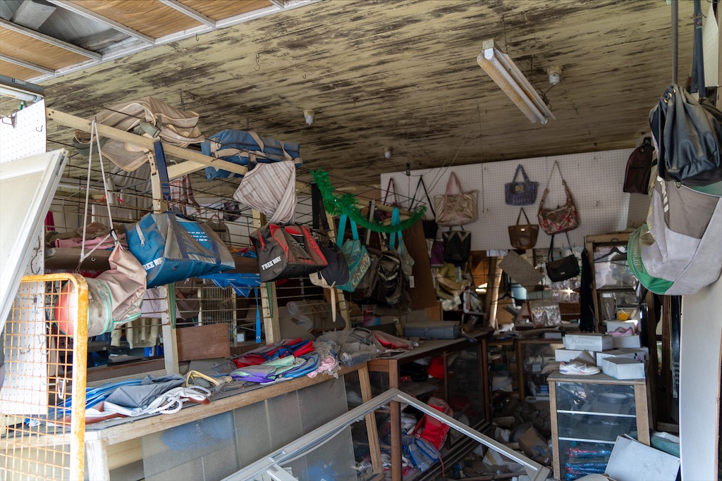 f:id:haikutu:20211208150416j:image