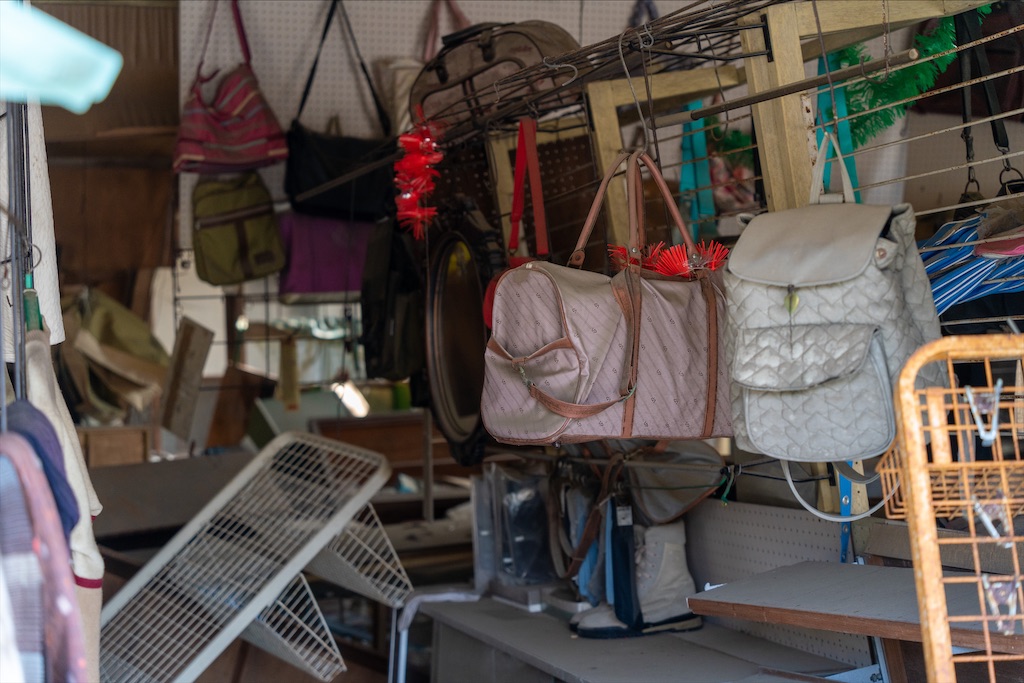 f:id:haikutu:20211208150428j:image