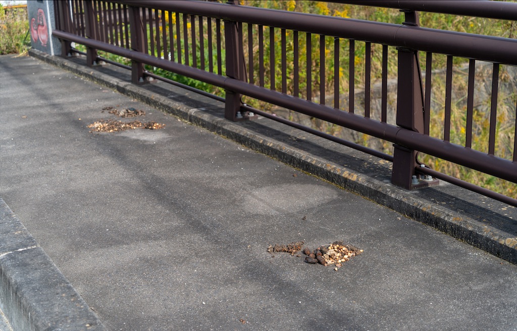 f:id:haikutu:20211208154729j:image