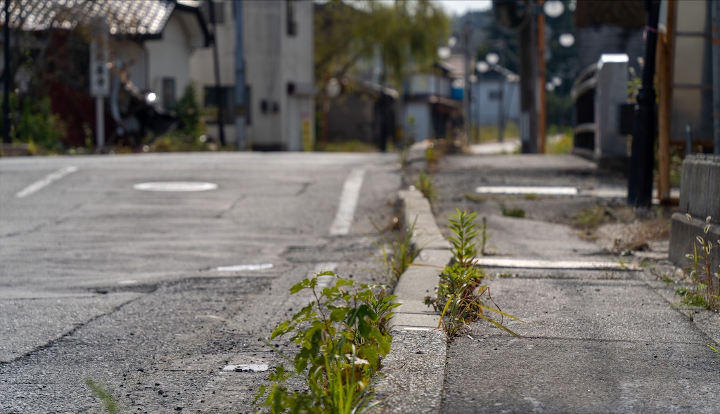 f:id:haikutu:20211208155048j:image