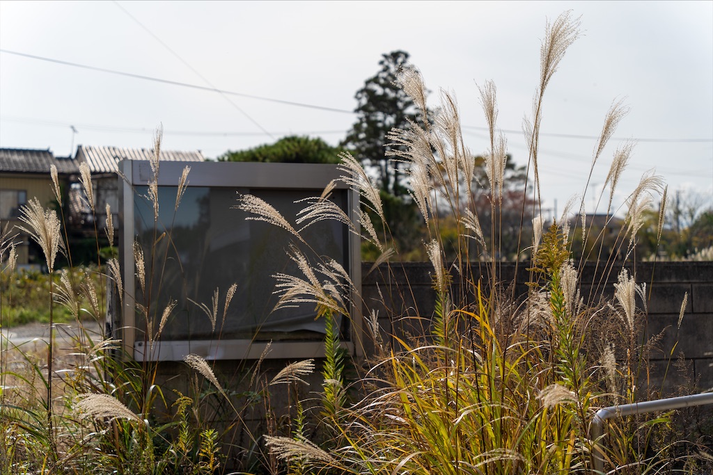 f:id:haikutu:20211208155050j:image