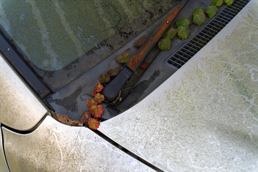 f:id:haikutu:20211208155540j:image