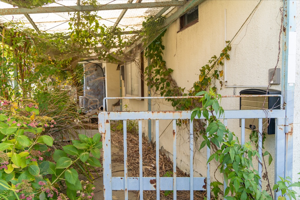 f:id:haikutu:20211208155547j:image