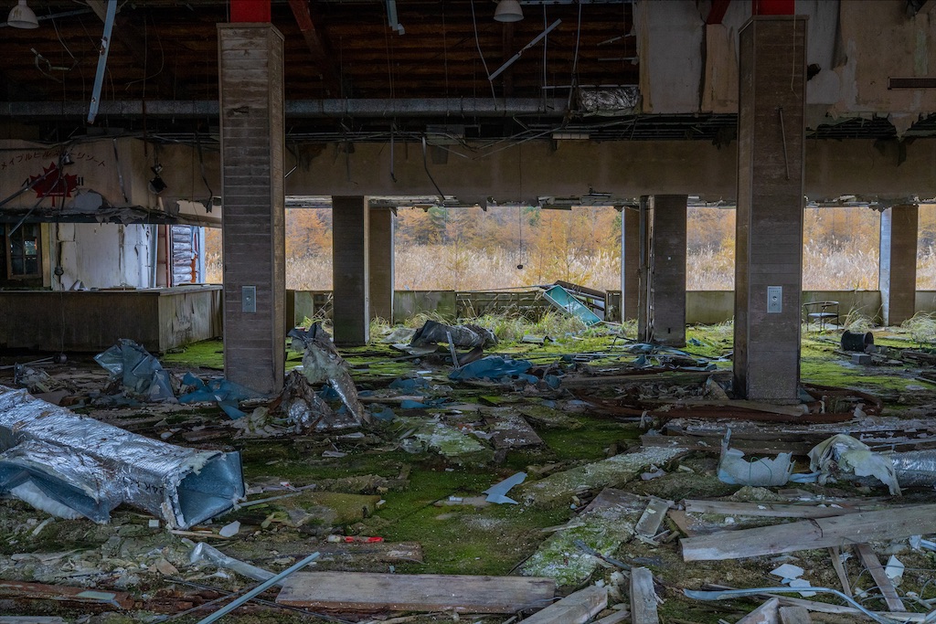 f:id:haikutu:20211211143927j:image