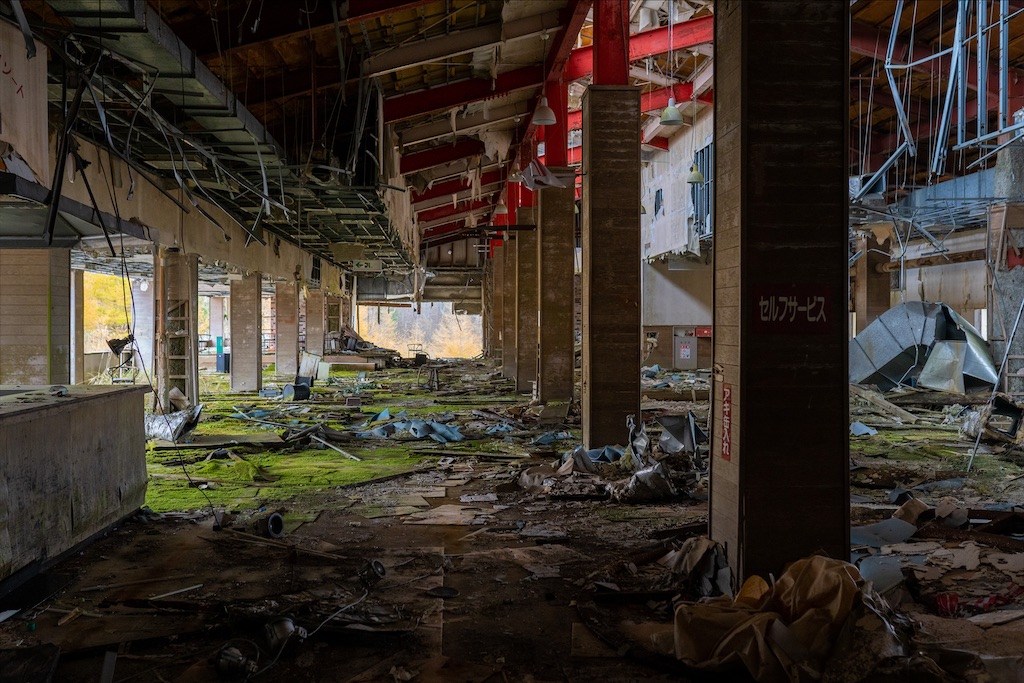 f:id:haikutu:20211212231902j:image