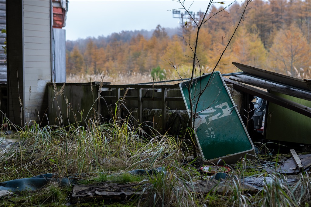 f:id:haikutu:20211212232129j:image