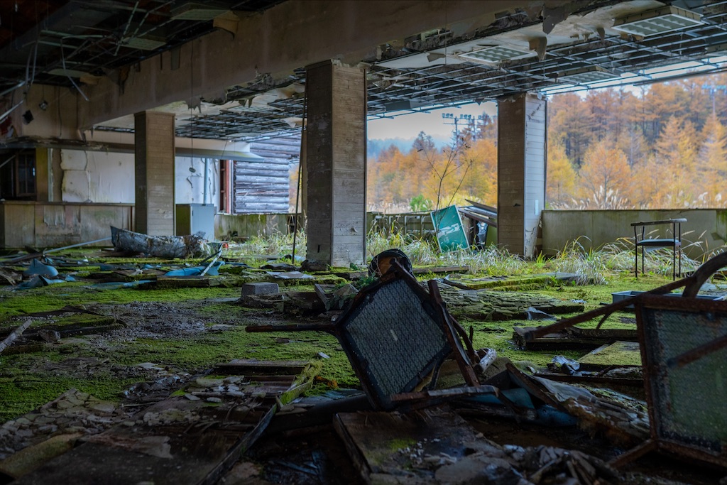 f:id:haikutu:20211212232137j:image