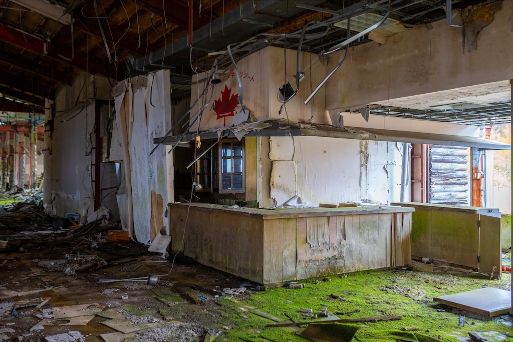 f:id:haikutu:20211212232404j:image