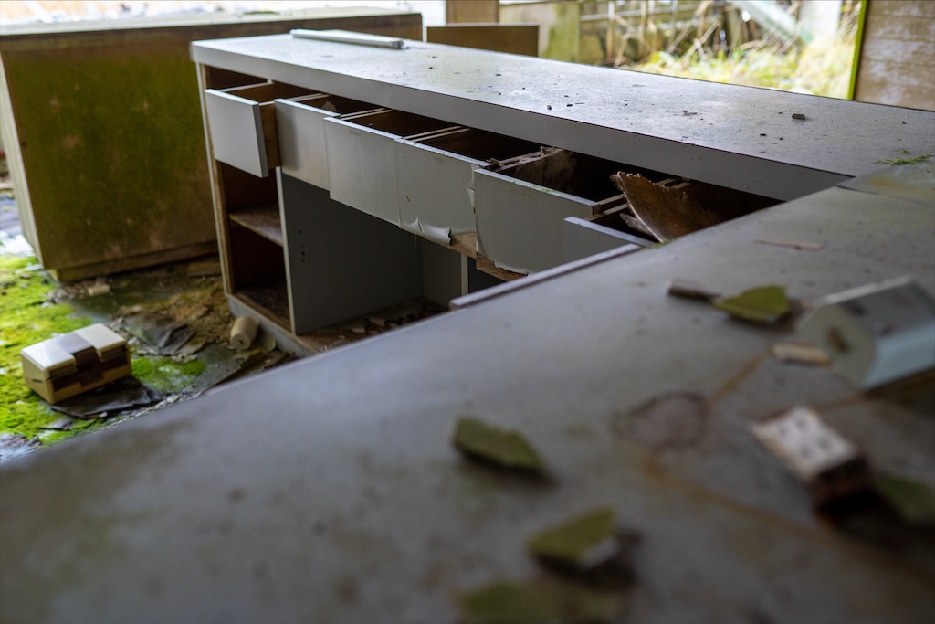 f:id:haikutu:20211212233517j:image