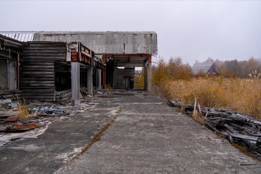 f:id:haikutu:20211212233923j:image