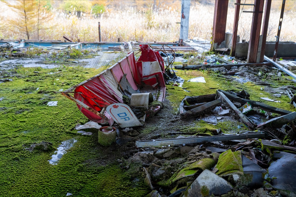 f:id:haikutu:20211212234133j:image