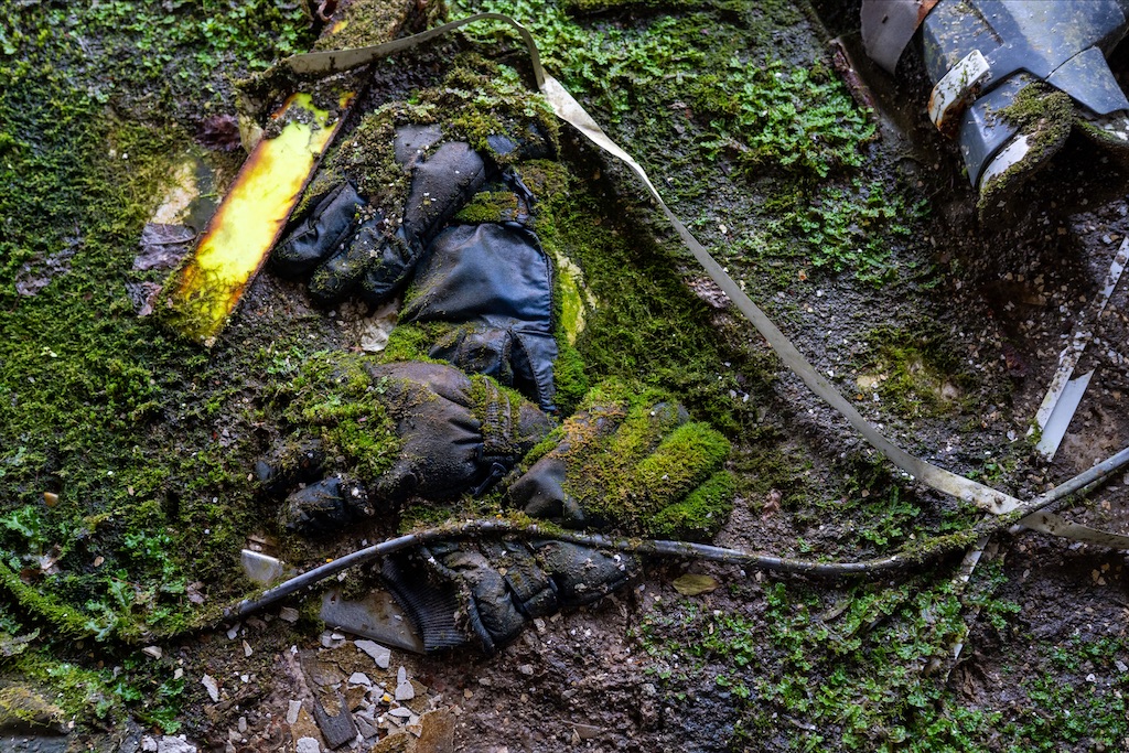 f:id:haikutu:20211213003507j:image