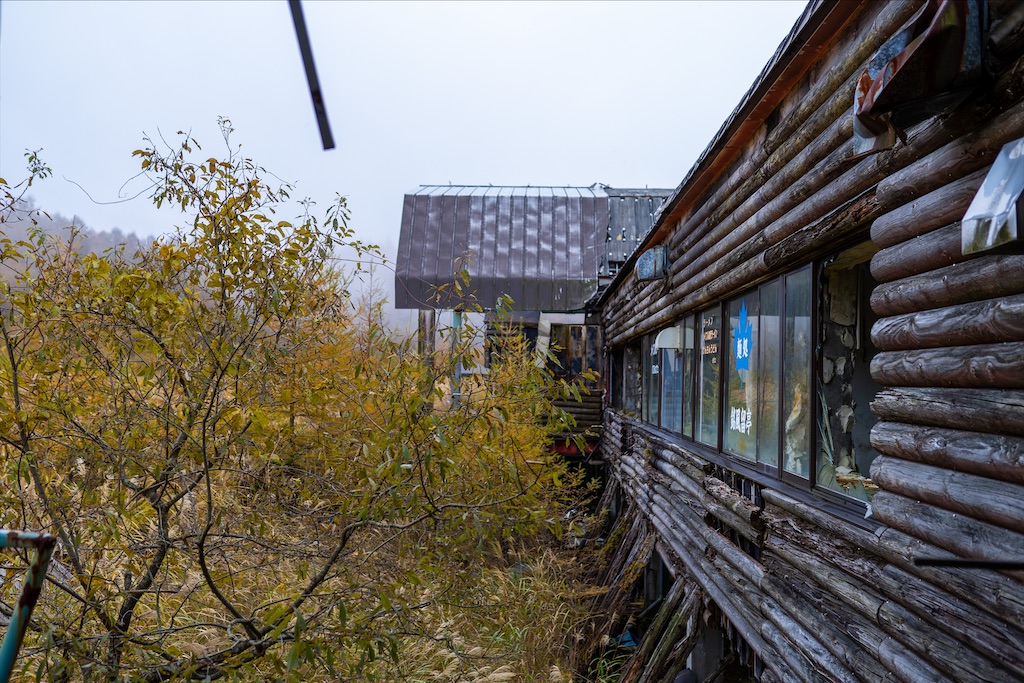 f:id:haikutu:20211213004321j:image