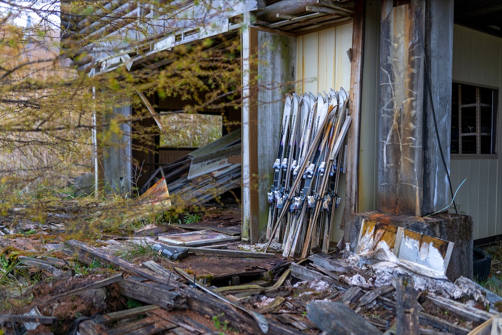 f:id:haikutu:20211213005916j:image