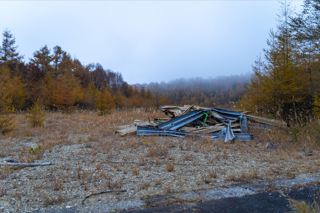 f:id:haikutu:20211213010357j:image