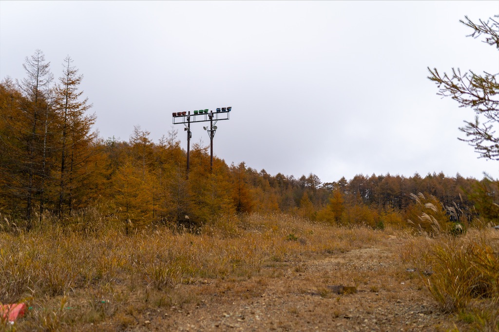 f:id:haikutu:20211213010405j:image