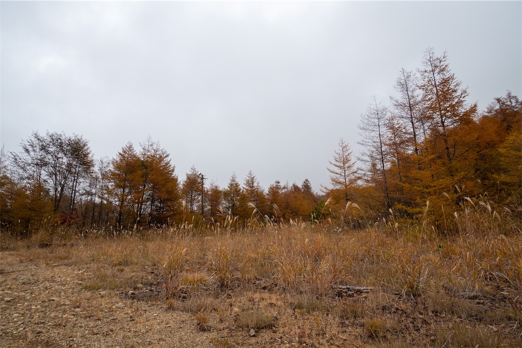 f:id:haikutu:20211213010534j:image