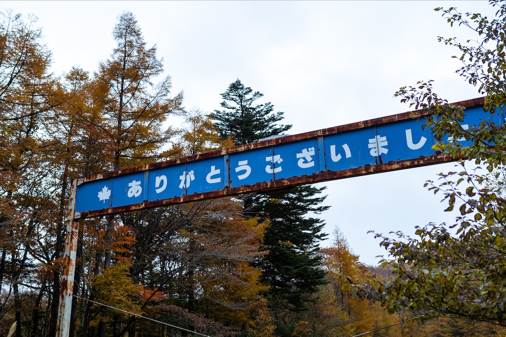 f:id:haikutu:20211213010929j:image