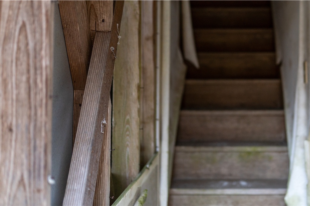 f:id:haikutu:20211213013131j:image