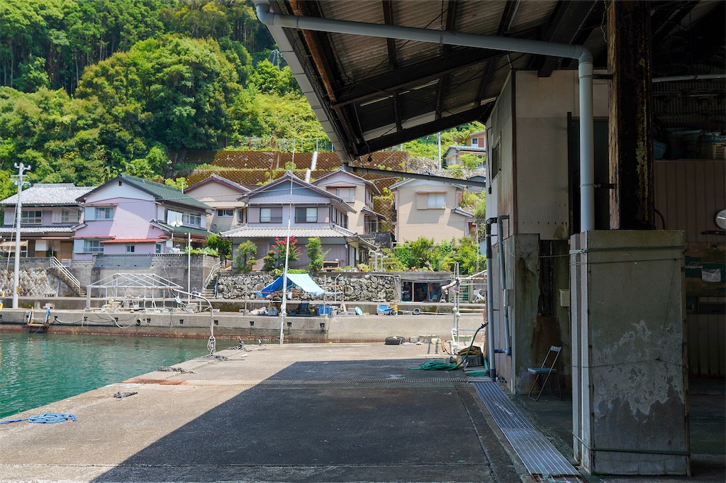 f:id:haikutu:20211214221155j:image