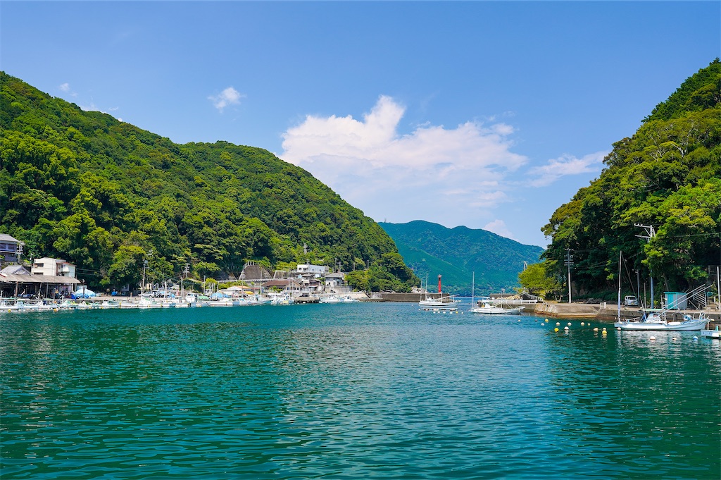 f:id:haikutu:20211214221159j:image