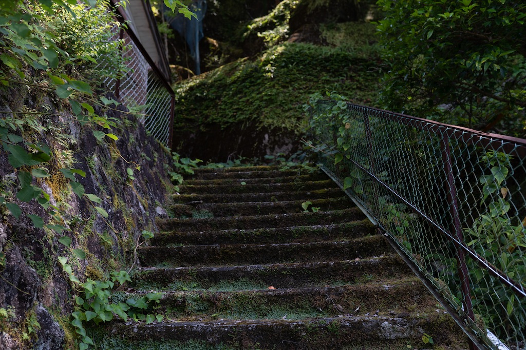 f:id:haikutu:20211216233309j:image