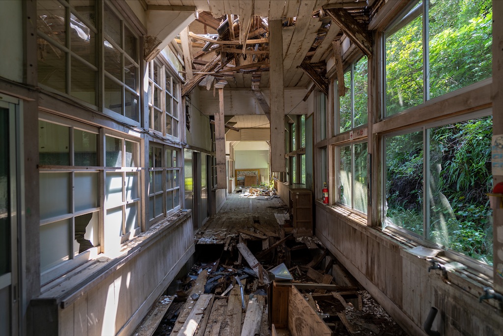 f:id:haikutu:20211216234705j:image