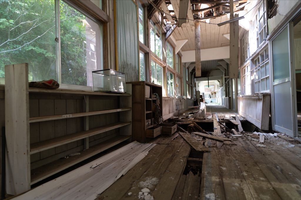 f:id:haikutu:20211216234710j:image