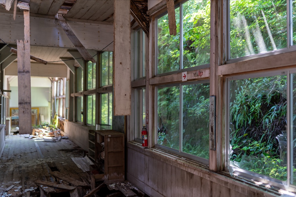 f:id:haikutu:20211217000646j:image