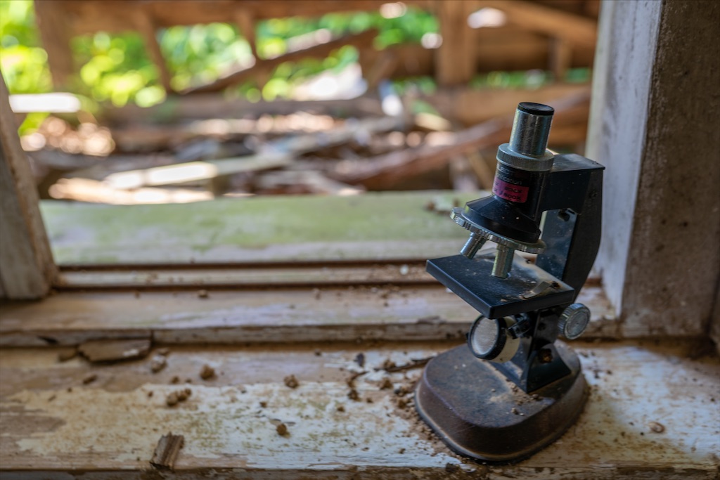 f:id:haikutu:20211218111423j:image