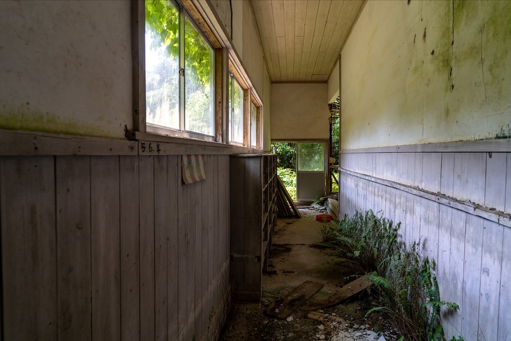 f:id:haikutu:20211218113215j:image