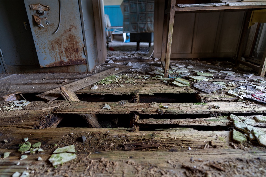 f:id:haikutu:20211218114516j:image