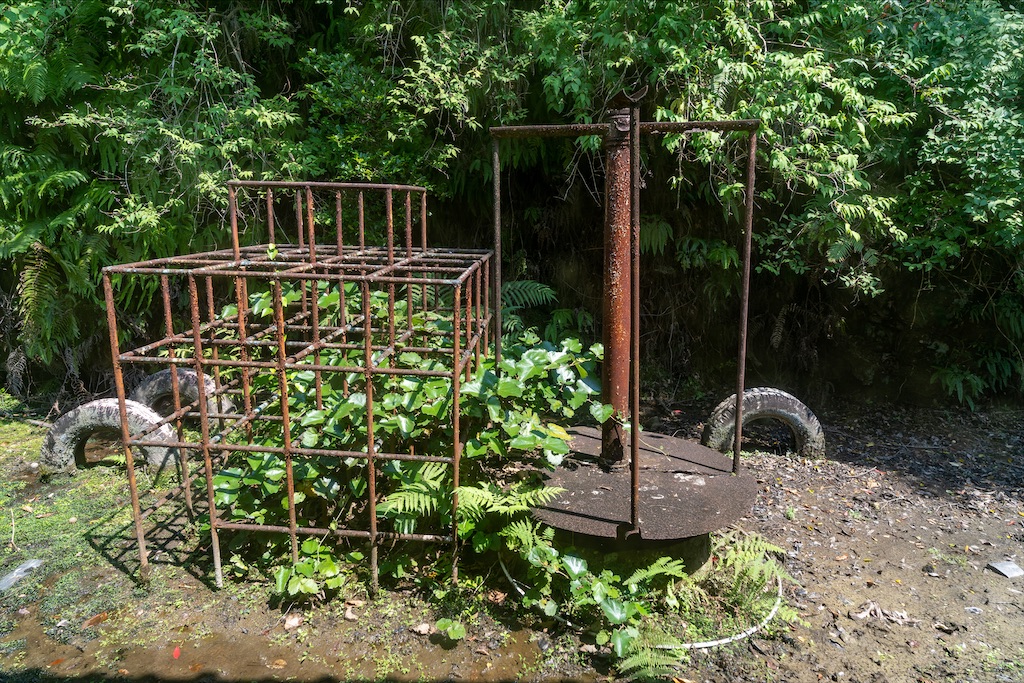 f:id:haikutu:20211218120114j:image