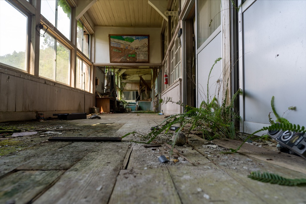 f:id:haikutu:20211218120528j:image