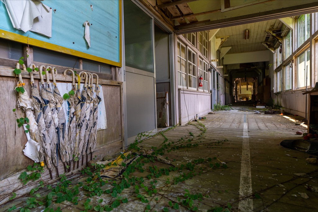 f:id:haikutu:20211218120956j:image