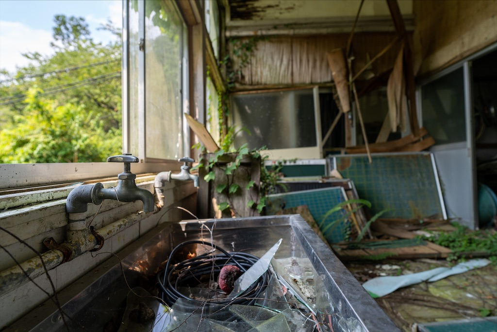 f:id:haikutu:20211218173042j:image