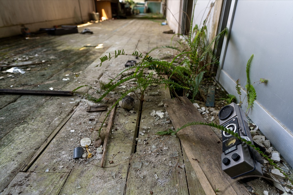 f:id:haikutu:20211218173414j:image