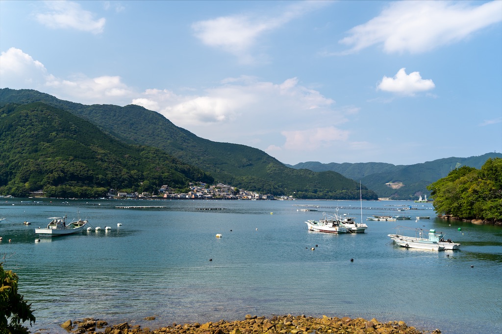 f:id:haikutu:20211228120700j:image