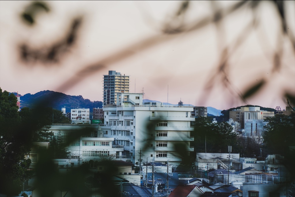 f:id:haikutu:20220118022517j:image